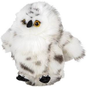 Medium Snowy Owl